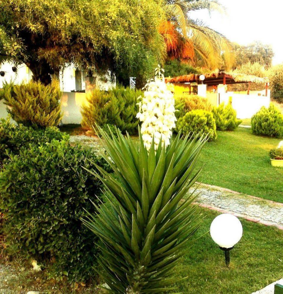 Tepe Hotel Alaçatı Esterno foto